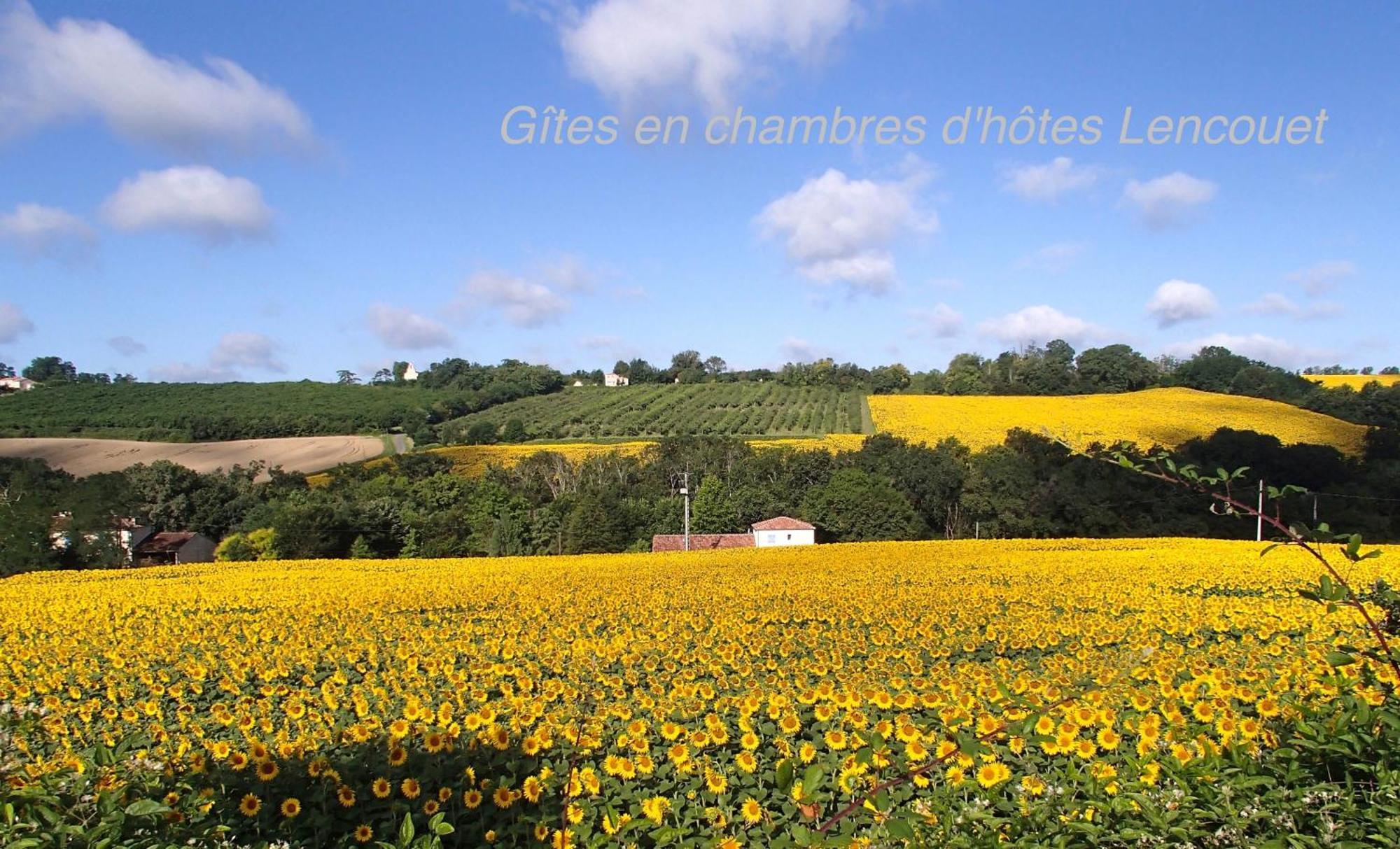 Chambre D'Hotes Lencouet Feugarolles 外观 照片